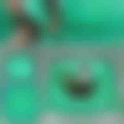 Στρώμα μεταφύτευσης για φυτά | FLORAMAT