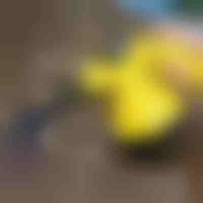 Ατμοκαθαριστής απολύμανσης | VAPERO