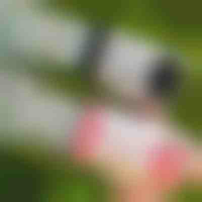 Πιστόλι φυσαλίδων LED με 69 οπές | BUBBLEPUFF