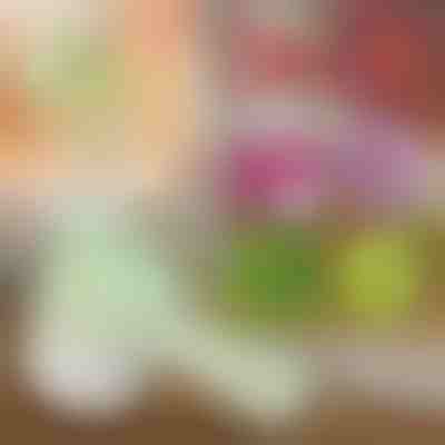 4-σε-1 χειροκίνητο ηλεκτρικό ψιλοκόπτη | ROTOCHOP