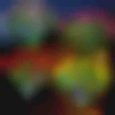 Ηλιακά φώτα λουλουδιών | ROSILUME