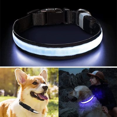 Περιλαίμιο Σκύλου με Φωτισμό Νύχτας | PETSHINE